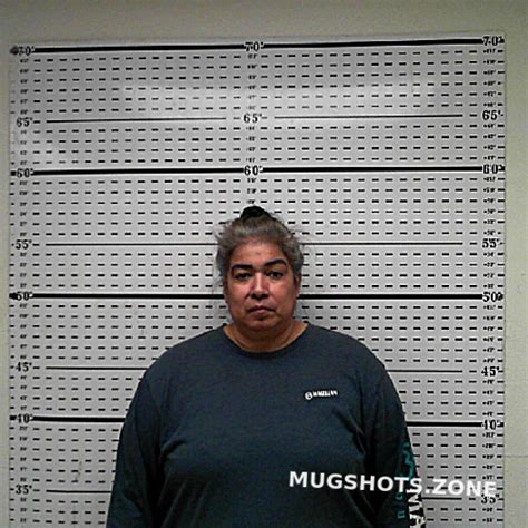 Hinojosa Nicole Marie Jim Wells County Mugshots Zone