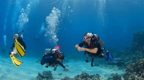 Tioman Scuba Diving Course