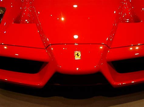 ferrari emblem : Dallas Car Show 2003 : Car Pictures by CarJunky®