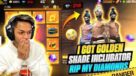 I Got New Golden Shade Incubator 😍 New Golden Shade Bundles 🤯 Para