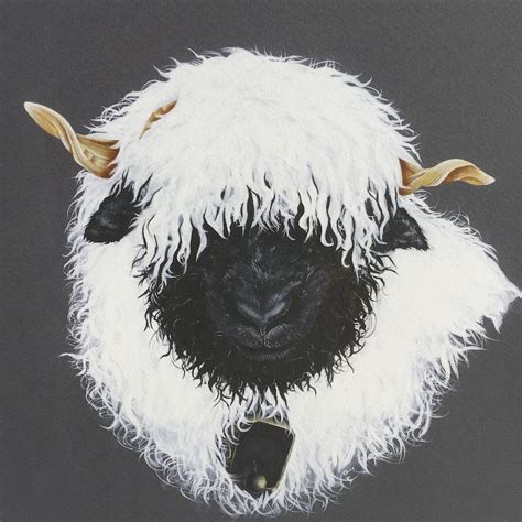 Blacknose Valais Sheep Fine Art Print Etsy