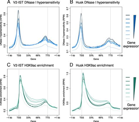 Genome Wide Mapping Of Transcriptional Enhancer Candidates Using Dna And Chromatin Features In