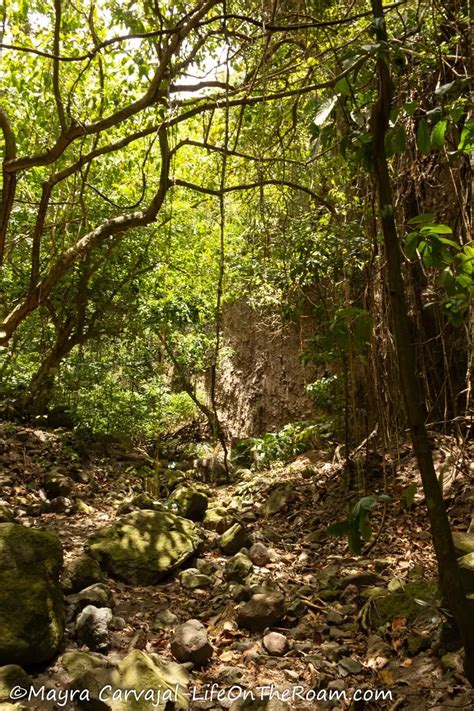 Hiking on Saba: Your Guide to 17 Stunning Trails | Life On The Roam