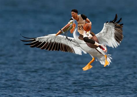 Riding the red bird express reveals some surprising local sights 6