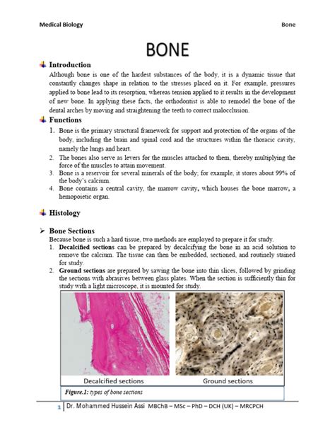 Detailed Histology of Bone | PDF