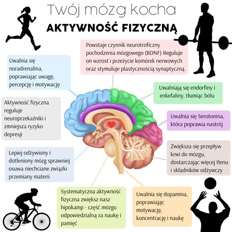 Jak aktywność fizyczna wpływa na twój mózg i ciało poznaj korzyści dla