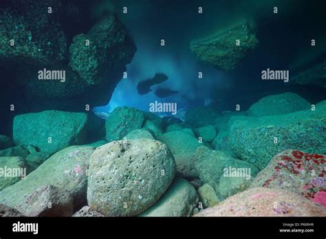 Underwater Landscape Rocks Inside A Shallow Cave In The Mediterranean