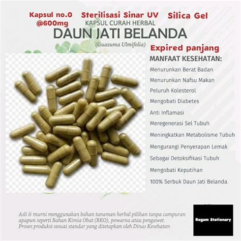 Jual Kapsul Bubuk Jati Belanda Herbal Jamu Obat Curah 100 Butir