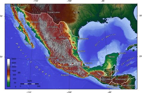 Como Se Formo La Planicie Costera Del Golfo De Mexico