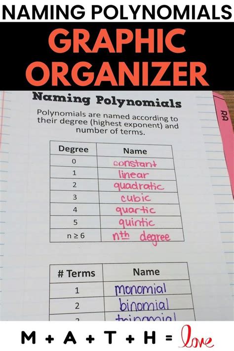 Naming Polynomials Graphic Organizer Polynomials Activity Exponents Quadratics Algebra