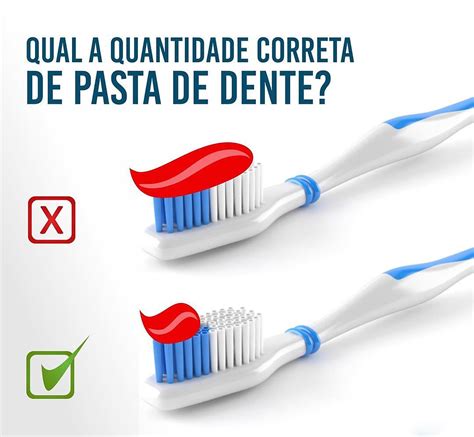 T Cnica De Escova O E O Uso Do Fio Dental