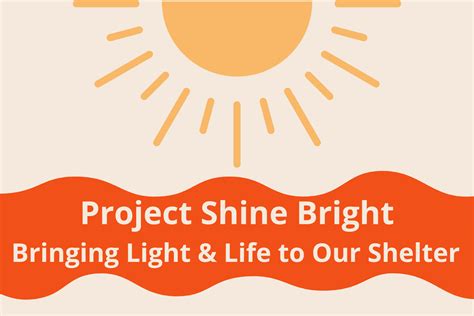 Project Shine Bright Livesafe Resources A Community Free Of