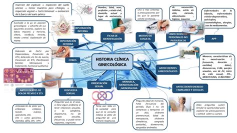 Mapa Mental De La Historia Clinica De Ginecoobstetricia Conoceremos Los