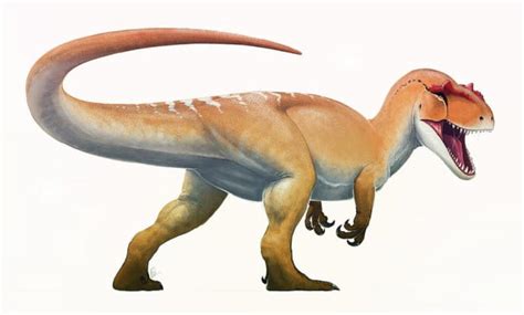 The 16 Fastest Dinosaurs The Speed Demons Of The Mesozoic