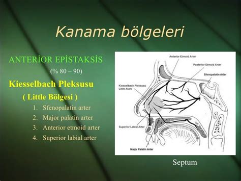 Epistaksis Fazlası Iç