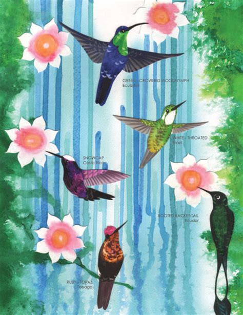 Hummingbird Heaven A Counting Poem Catching Summer