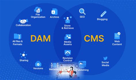 Dam Vs Cms What S The Difference Agilean Solutions