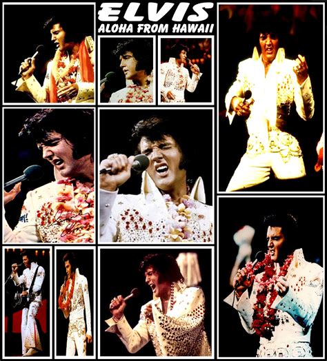 aloha elvis costume 1