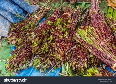 80 Khat Market Images, Stock Photos, 3D objects, & Vectors | Shutterstock