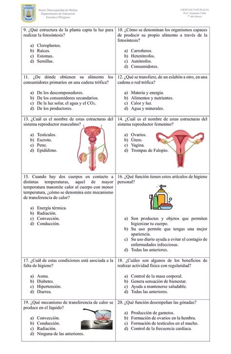 Evaluaci N Diagn Stica Ciencias Naturales A O B Sico Profe Social