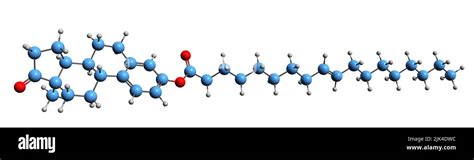 3d Image Of Estrone 3 Oleate Skeletal Formula Molecular Chemical