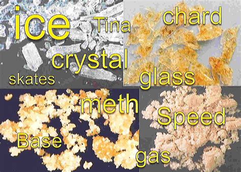 ice tolerance  bioavailability  associate professor rebecca mcketin
