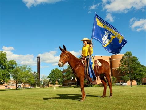 The History Of Arkansas Mascots Only In Arkansas