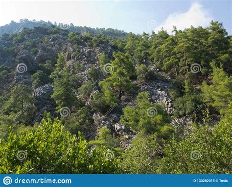 Antalya Goynuk Canyon Beautiful Mountain With Trees In National