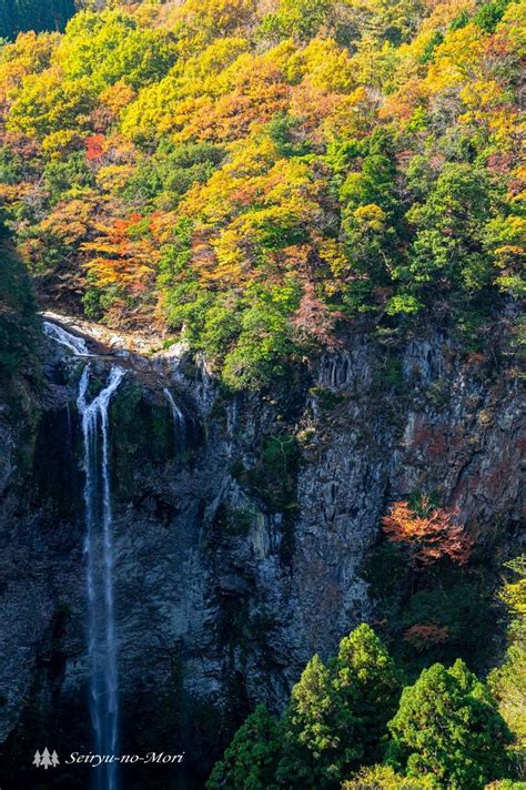 福貴野の滝（紅葉） 清流の森 ～九州の滝と風景～