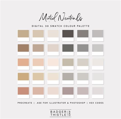 Muted Neutrals Digital Colour Palette Swatches Download Procreate