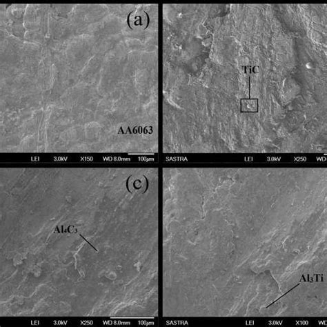 Sem Micrographs Of Aa6063 Tic Composites Reinforced With Tic Particles