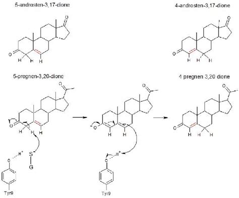 Double Bond Isomerization Catalyzed By Gsts With Ketosteroid Isomerase