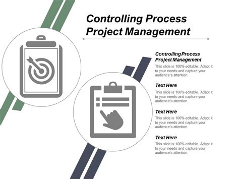 Controlling Process Project Management Ppt Powerpoint Presentation