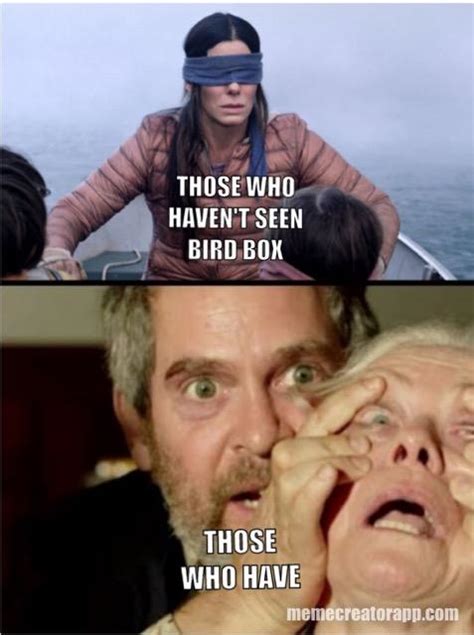 I M Surprised I Haven T Seen This Bird Box Meme Yet R Funny