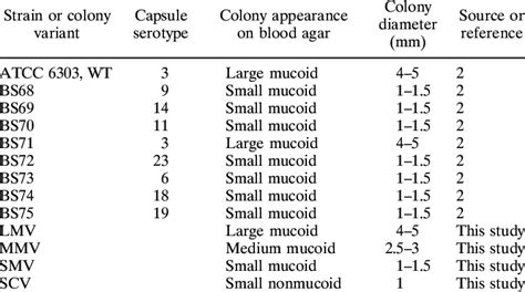 Streptococcus pneumoniae strains and colony morphology variants used in ...