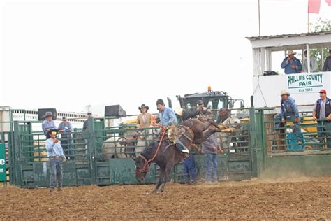 Dodson S Werk Wins Ranch Bronc At P C Fair Phillips County News