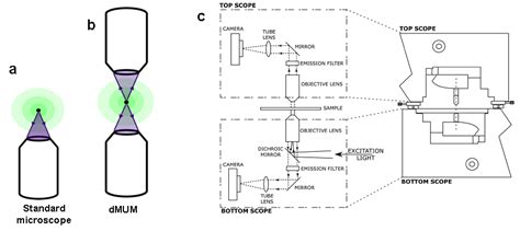 Multi-Focal Plane Microscopy – WardOber Lab