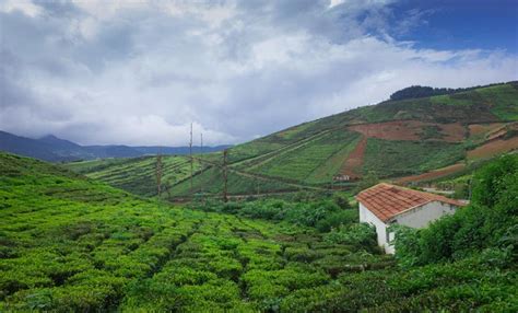 6 Day Trip From Bangalore Ooty Coorg Nagarhole Price Calculator