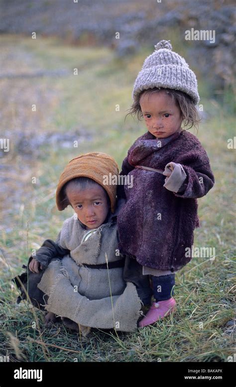 India Jammu And Kashmir State Ladakh Himalaya Zanskar Jal Village