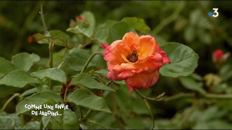 Le Jardin Botanique De Mascarin Extrait Vid O Comme Une Envie De