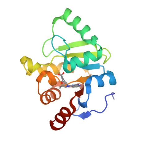 RCSB PDB 5SRM PanDDA Analysis Group Deposition Crystal Structure