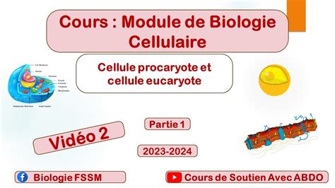 Biologie Cellulaire Bcg S La Cellule Procaryote Et Eucaryote Vid O