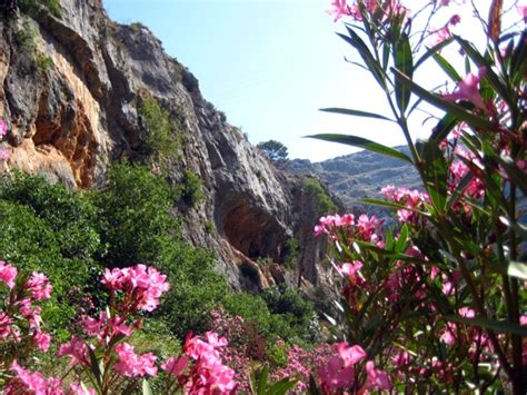 Trotasendes Benicalap Ontinyent Barranc Dels Tarongers Y Paratge