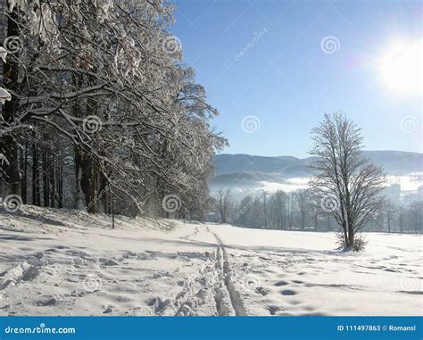 Vervintra Landskapet Med V Gskogen Och Bl Himmel Vintrig Bana Frostig