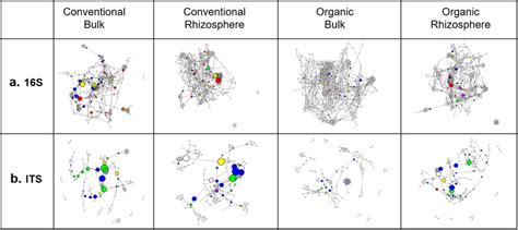 Microbial Co Occurrence Networks Bacterial And Fungal Co Occurrence