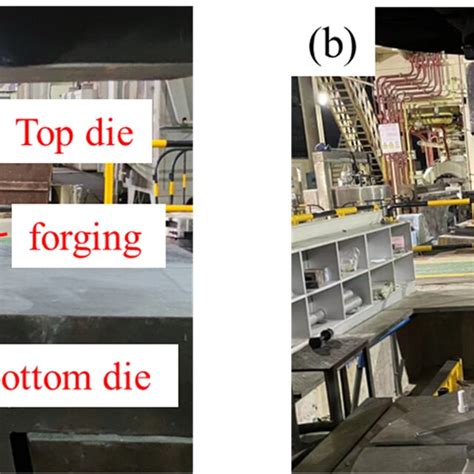 Multiaxial Forging Deformation Setups A Htd And Mtd B Ctd Download Scientific Diagram