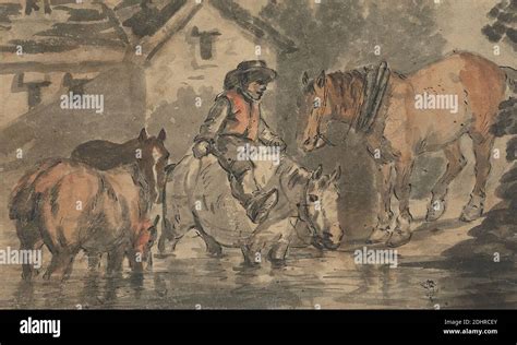 Man Watering Four Horses Hi Res Stock Photography And Images Alamy