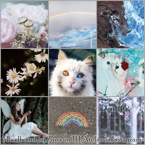 Fairy Cat Moodboard Adopt Idea Mood Board Design Mood Board Inspiration