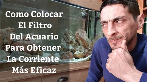 Como Colocar El Filtro Del Acuario Para Obtener La Corriente Más