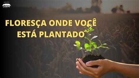 Flores A Onde Voc Est Plantado Pastor Marcelo Youtube